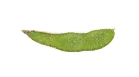 Soybean isolated on white background Stock Photos