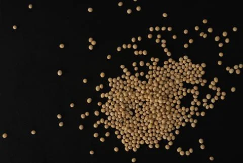 Soybean macro close up, selective focus Stock Photos