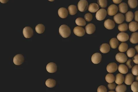Soybean macro close up, selective focus Stock Photos