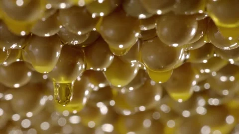 Soybean oil    soybean Stock Footage 162704571