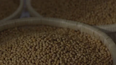 Soybean oil    soybean Stock Footage 162704585