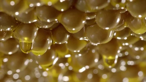 Soybean oil    soybean Stock Footage 162704591