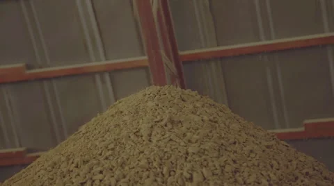 Soybean oilcake poured in a heap on the processing plant soybeans Stock Footage 55100431