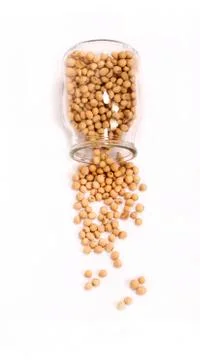 Soybean Stock Photos