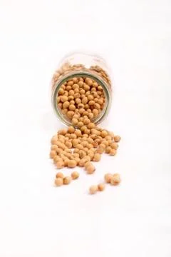 Soybean Foto stock