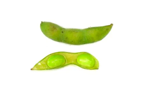 Soybean Stock Photos