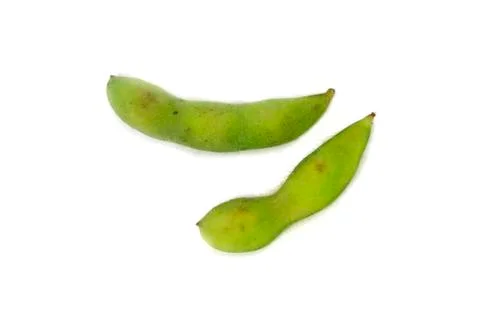 Soybean Stock Photos