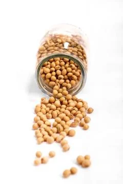Soybean Stock Photos