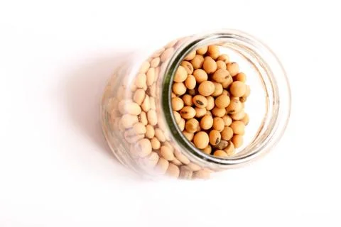 Soybean Stock Photos