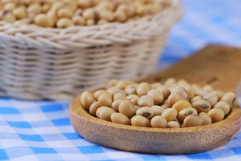 Soybean Stock Photos