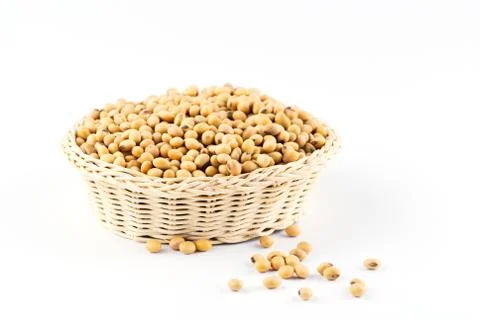 Soybean Stock Photos