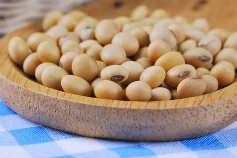 Soybean Stock Photos