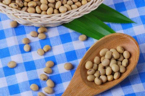 Soybean Stock Photos