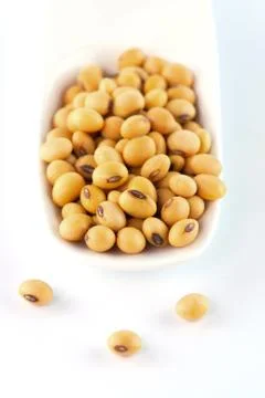 Soybean Stock Photos