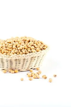 Soybean Stock Photos