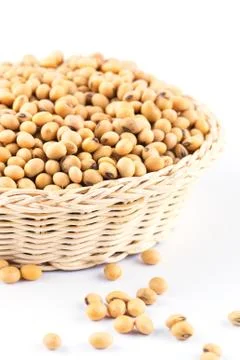 Soybean Stock Photos