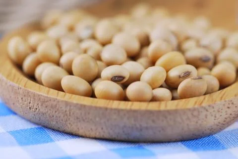 Soybean Stock Photos