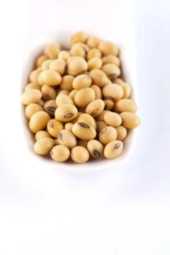 Soybean Stock Photos