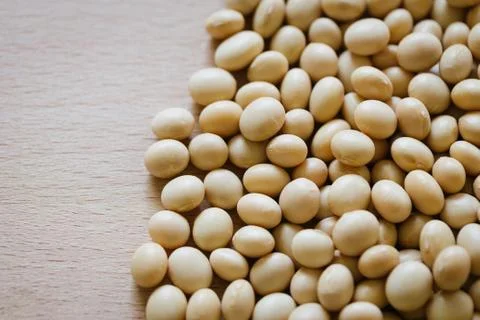 Soybean Stock Photos
