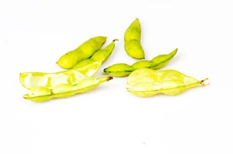 Soybean pod Stock Photos