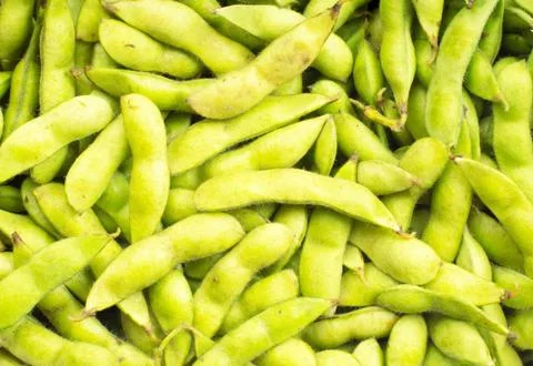 Soybean pod Stock Photos