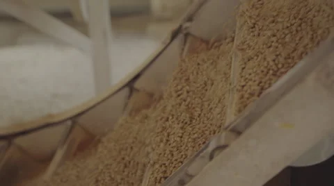 Soybean processing plant Stock Footage 55100798