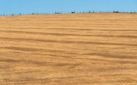 Soybean production fields dissected and awaiting planting of seeds Stock Photos