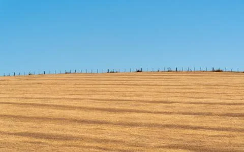 Soybean production fields dissected and awaiting planting of seeds Stock Photos
