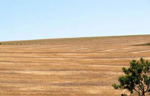 Soybean production fields dissected and awaiting planting of seeds Stock Photos