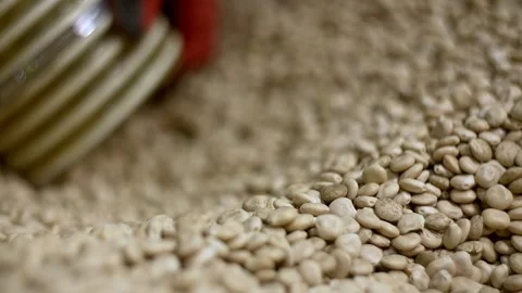 Soybean raw material close up, soybean food production slow motion Stock Footage 305063825