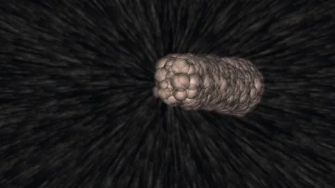 Soybean seed growing with root system and soil particles in cinematic motion Video stock 342508108