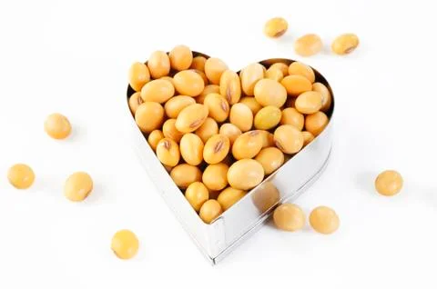 Soybean seed Stock Photos