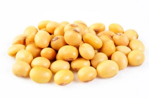 Soybean seed Stock Photos