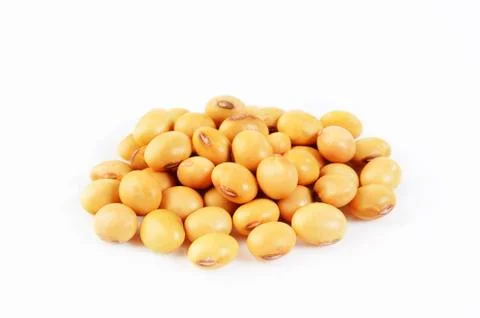 Soybean seed Stock Photos