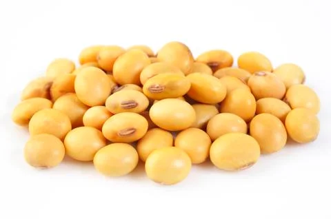 Soybean seed Stock Photos