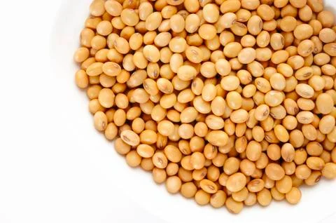 Soybean seed Stock Photos