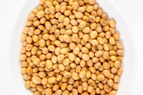 Soybean seed Stock Photos
