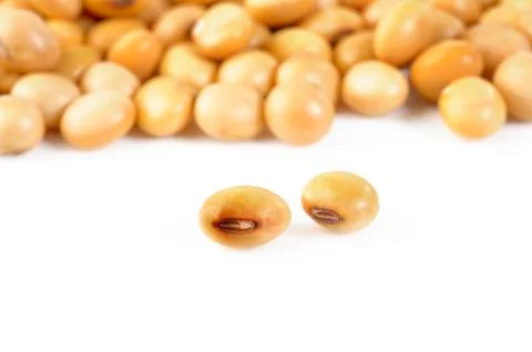Soybean seed Stock Photos