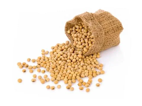 Soybean in small sack on white background Stock Photos