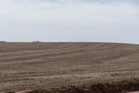 Soybean sowing fields. Stock Photos