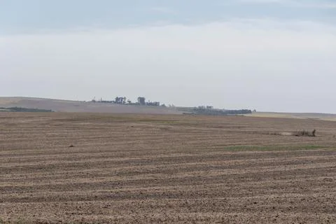 Soybean sowing fields. Stock Photos
