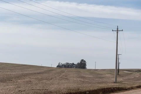 Soybean sowing fields. Stock Photos