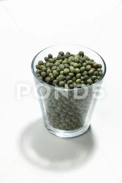 Soybean sprout seeds Stock Photos