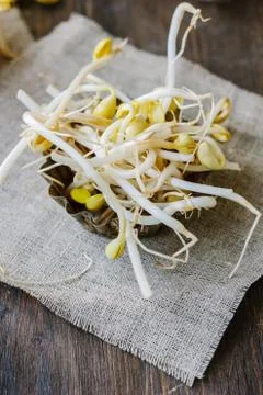 Soybean sprouts. Table with soy bean sprouts on it. Stock Photos