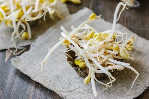 Soybean sprouts. Table with soy bean sprouts on it. Stock Photos