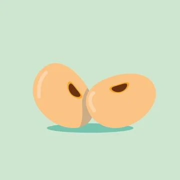 Soybean vector. Soybean on green background. free space for text. Stock Illustration