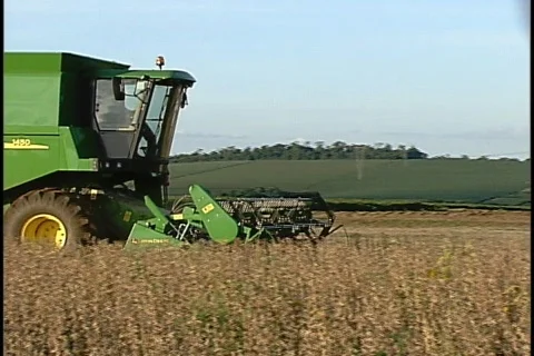 Soybeans - 0039 库存影片 853693