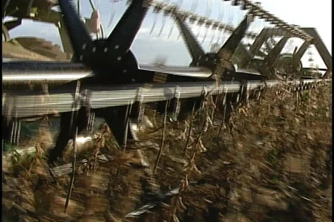 Soybeans - 0041 库存影片 853698