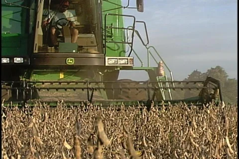 Soybeans - 0042 Stock Footage 853701