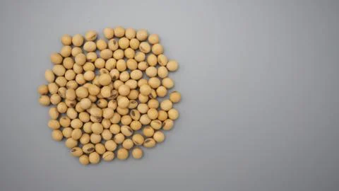 Soybeans close up on gray background. Stock Photos